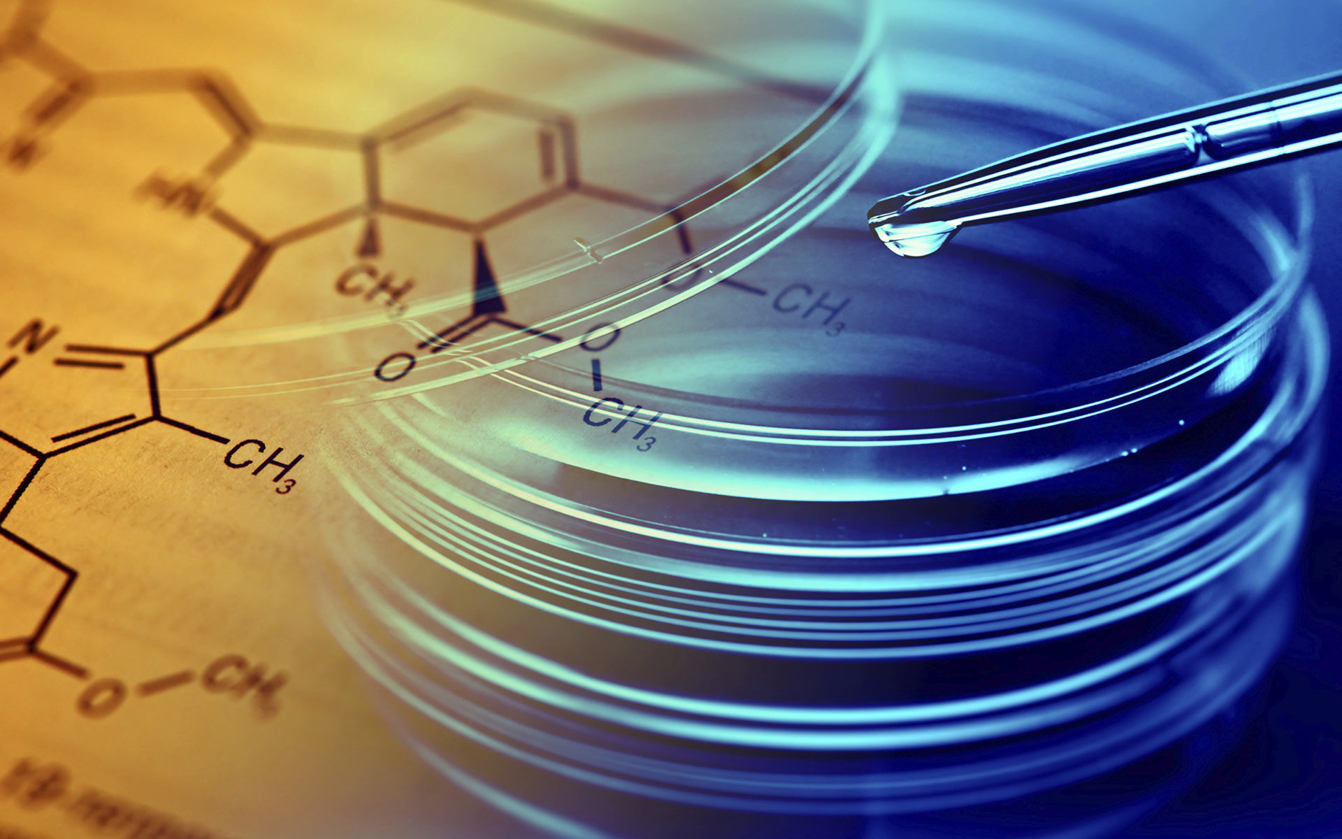Strict Quality Control